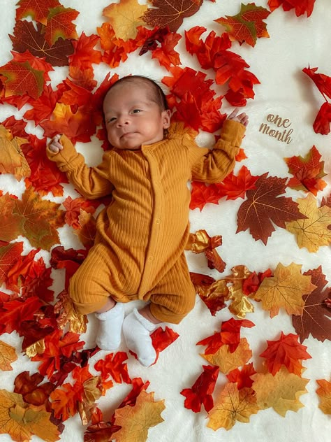 Diy Newborn Thanksgiving Pictures, Infant Photoshoot Ideas Halloween, Infant Fall Photoshoot At Home, Diy Pumpkin Photo Shoot Baby, October One Month Picture, 1 Month Old Baby Pictures Thanksgiving, Infant Fall Pictures, One Month Old Baby Pictures September, Monthly Baby Photos October