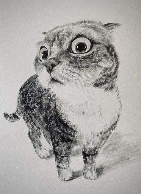 Realistic Animal Drawings, Pencil Drawings Of Animals, Pen Art Drawings, Cat Sketch, Architecture Drawing Art, Desenho Tattoo, Cat Artwork, Arte Sketchbook, Arte Inspo