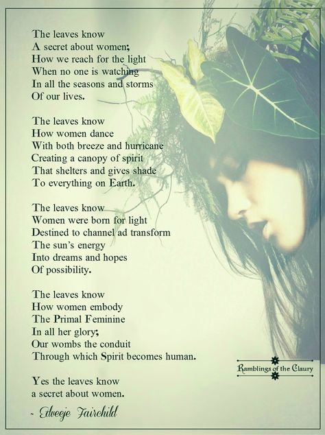 The leaves know  A secret about women; How we reach for the light When no one is watching In all the seasons and storms Of our lives ...#women #leaves #nature #secret #poem #poetry #OneDayIWillFly #InternationalWomensDay Poems By Famous Poets, When No One Is Watching, Seasons Poem, Poems In English, Christian Poems, Women Poetry, Misspelled Words, Meaningful Love Quotes, Famous Poets