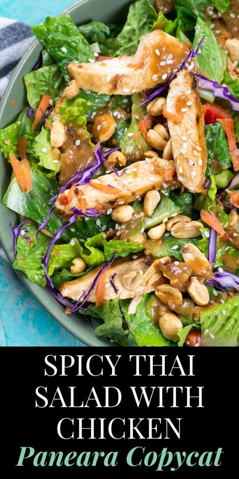 Panera Copycat, Thai Chicken Salad, Meals Chicken, Thai Salad, Thai Salads, Thai Chili, Salad With Chicken, Savory Salads, Resep Diet