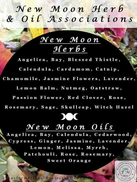 New Moon Herbs and Oils Apothecary – Transformational Healing by Dawna October New Moon, Moon Herbs, Spiritual Rituals, Lunar Witch, Moon Magick, Moon Spells, Witch Herbs, Moon In Aquarius, Moon In Leo