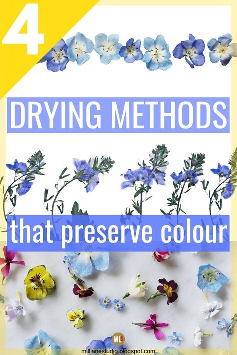 How To Preserve Flowers For Resin, How Preserve Flowers, How To Preserve Pressed Flowers, Dry Flower Projects, Dry Flowers Diy Projects, Dried Flowers In Mineral Oil, How To Properly Dry Flowers, Dry Pressed Flowers Diy, Diy Flower Press How To Make