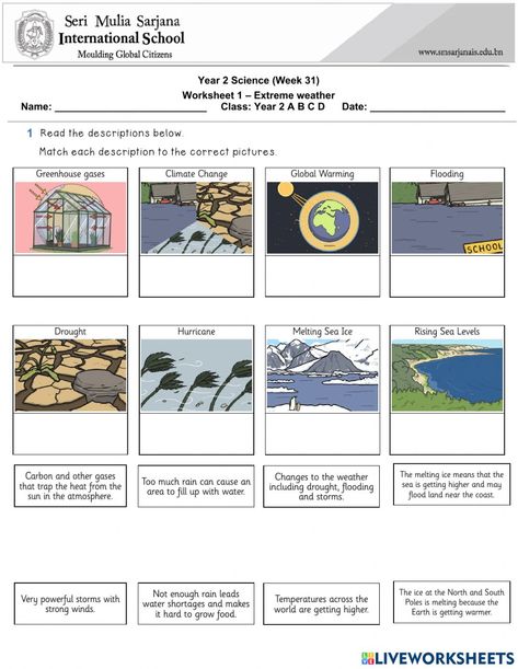 Weather Names, Weather Worksheets, Science Week, Weather Unit, Global Citizen, International School, Environmental Science, School Subjects, Extreme Weather