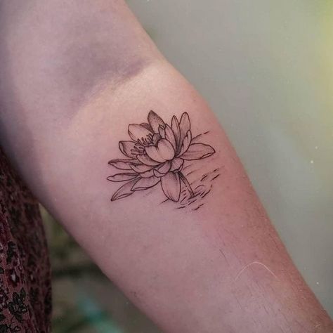 30 Best Water Lily Tattoo Ideas  25 Lily Tattoo Thigh, Tattoo Water Lily, Lily Tattoo Ideas, Lily Tattoo Designs, Red Lotus Tattoo, Lilly Flower Tattoo, Lily Tattoo Meaning, Water Lily Tattoo, Water Lily Tattoos