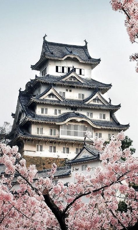 Japanese Palace, Japanese Castles, Himeji Castle, Cherry Blossom Trees, Fairy Pools, Japanese Castle, Japan Architecture, Japanese Temple, Asian Architecture