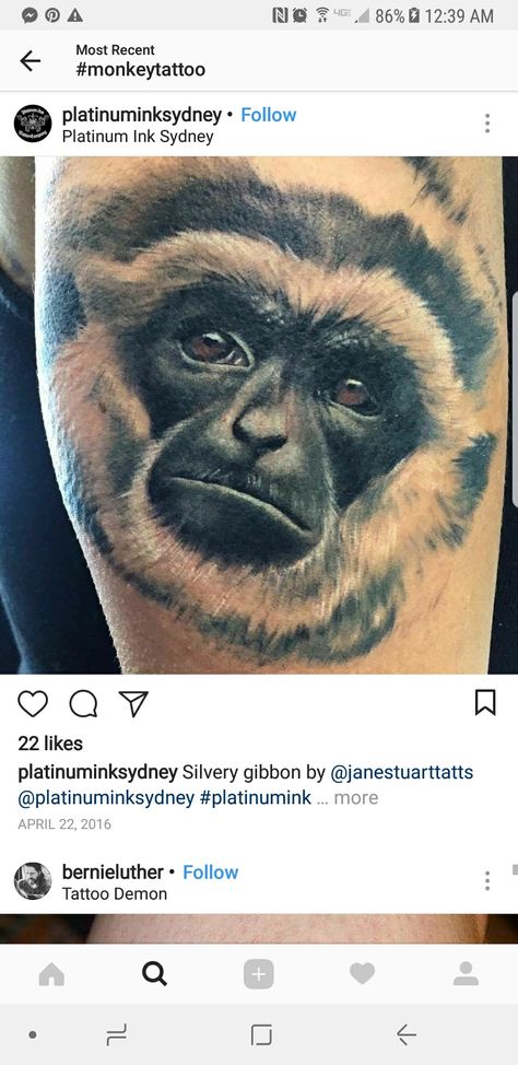 Gibbon Monkey Tattoo, Tattoos 2023, Monkey Tattoos, Tattoo Ideas, Piercings, Platinum, Tattoos, Animals