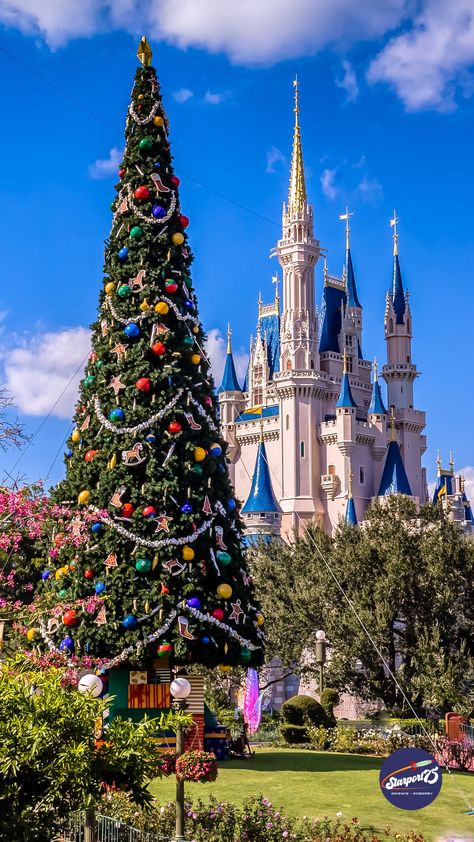 Disney World Christmas Wallpaper, Magic Kingdom Christmas, Wallpapers Disney, Christmas Lights Wallpaper, Lights Wallpaper, Disney World Christmas, Wallpaper Christmas, Merry Christmas Wallpaper, Christmas Disney