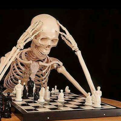 Checkers Aesthetic Game, Chess Pictures, Chess Memes, Chess Icon, Skeleton Pics, Chess Quotes, Chess Board Game, Chess Master, Playing Chess