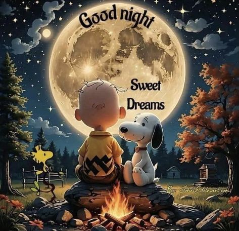 Snoopy Good Night Sweet Dreams, Snoopy Good Night, Snoopy Nails, Goodnight Snoopy, Cheerful Quotes, Weekend Greetings, Funny One Liners, Full Moon Night, Cute Good Night