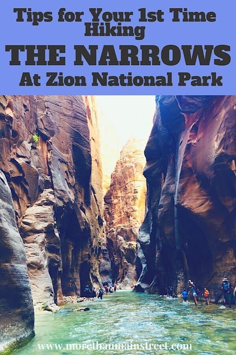 Hikes In Zion National Park, Zion Narrows, Zion National Park Photography, Hiking The Narrows, National Parks America, The Narrows, Utah Road Trip, National Parks Photography, Zion National Park Utah