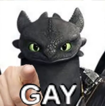 Toothless Funny, Cute Toothless, Httyd Funny, Httyd Toothless, Cursed Memes, Httyd Art, Httyd Dragons, Goofy Pictures, Funny Animal Jokes