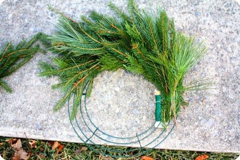 Faux Evergreen Wreath, Real Pine Wreaths, Christmas Wreath Instructions, Making A Real Christmas Wreath, Diy Real Wreath Christmas, Real Wreaths Christmas, Pine Tree Wreath, Making A Wreath With A Wire Frame Christmas, Diy Real Wreath