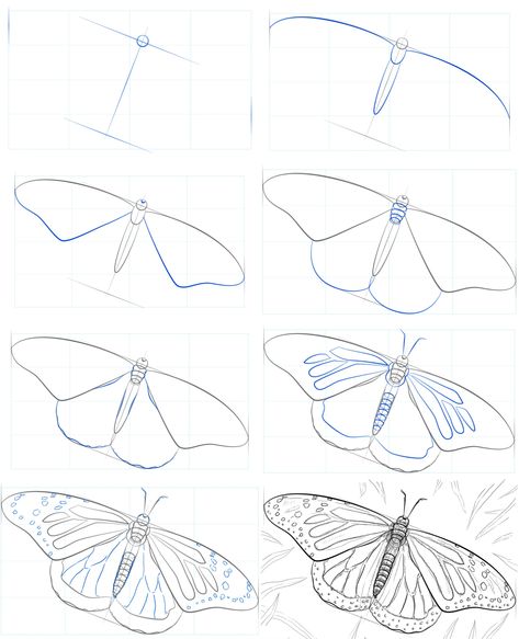 How To Draw A Monarch Butterfly Printable Step By Step Drawing Sheet CD8 Draw A Monarch Butterfly, Body Draw, Butterfly On Flower, Butterfly Gardens, Butterfly Art Drawing, Butterfly Sketch, Butterfly Tutorial, Drawing Sheet, Drawing Stencils