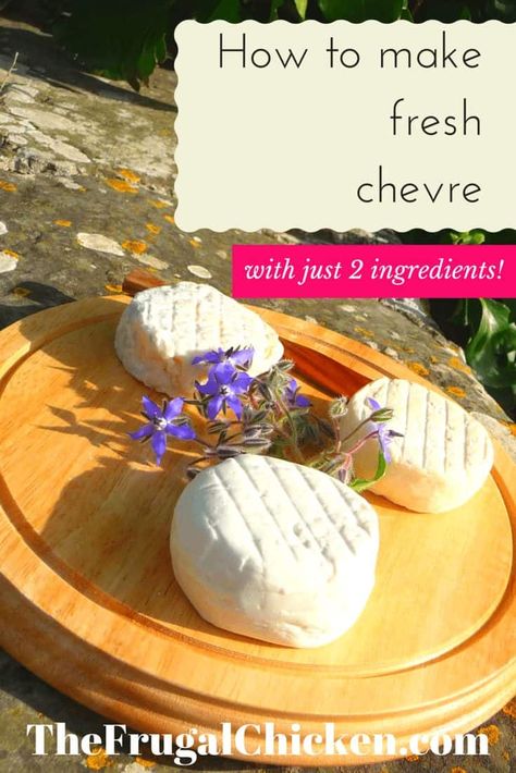 How to Make Chevre (and Why I'm on a Cheese Recipe Kick Lately) | Pampered Chicken Mama Making Cheese At Home, Chevre Cheese, Goat Milk Recipes, Making Cheese, Herbal Shop, Diy Cheese, Nourishing Traditions, Raising Backyard Chickens, Cheese Making