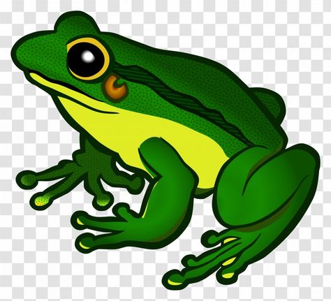 Frog Outline, Frog Clipart, Frog Logo, Frog Costume, Frog Wallpaper, Funny Morning Pictures, Animal Templates, Frog Illustration, Frog Crafts