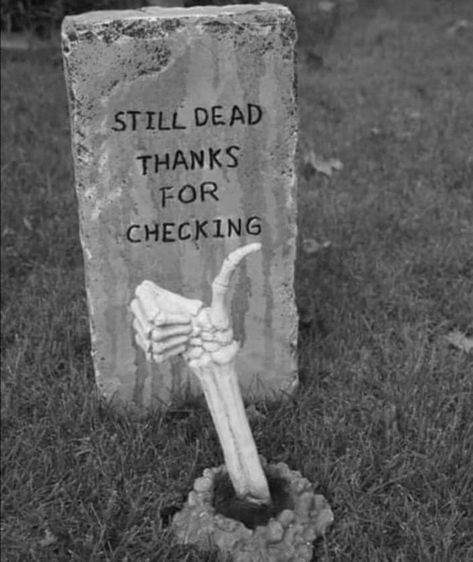 Funny Tombstone Sayings, Check In On Your Friends, Funny Tombstones, Goth Humor, Halloween Gravestones, Halloween Cemetery, Unusual Names, Black Plague, Halloween Decorating Ideas