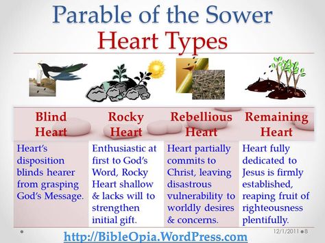 Heart Types and The Parable of the Sower: The Parable of the Sower soil types can also be viewed via the lens of ones’ heart condition related to the four soil types, leading to these 4 heart… The Parable Of The Sower, Bible Parables, Parable Of The Sower, Faith Messages, Soil Types, Parables Of Jesus, Heart Type, Bible Activities, Bible Lessons For Kids