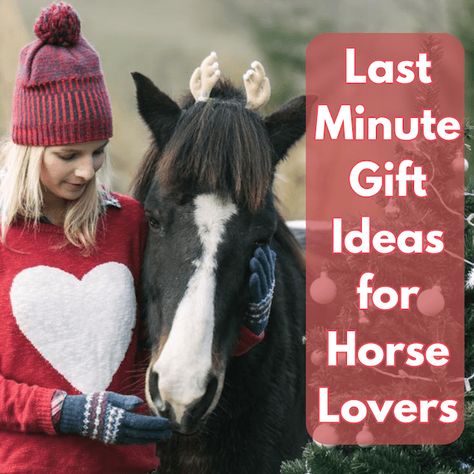 Last Minute Gift Ideas for Horse Lovers Gifts For Horse Trainer, Diy Gifts For Horse Lovers, Last Minute Gift Ideas, Volunteer Gifts, Horse Trainer, Equestrian Gifts, Horse Diy, Diy Mothers Day Gifts, Horse Owner