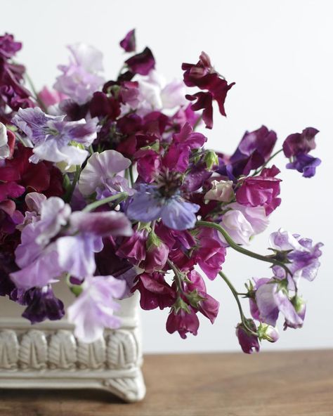 Tallulah Rose Flower School on Instagram: “The scent of the sweet pea... don’t mind if I do. Sweet peas on mass, there’s nothing better. Thanks to @ixiabotanicals the queen of the…” Sweetpea Flower, Sweet Pea Flowers, Greenery Arrangements, Flower School, Sweet Peas, Sweet Pea, The Sweet, The Queen, Rose Flower