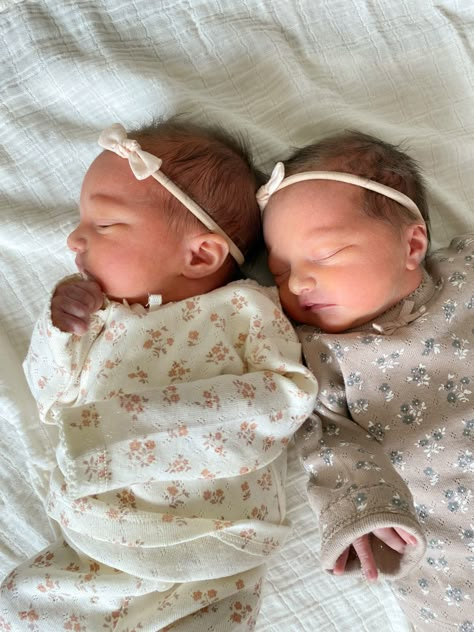 Baby twins, identical twin girls, baby girl twins, newborn twin aesthetic Non Identical Twins, Twins Sisters, Family With Twins Aesthetic, Twin Daughters, Twins Aesthetic Sisters, Twins Girl, Twins Newborn, Twin Aesthetic Sisters, Twins Baby