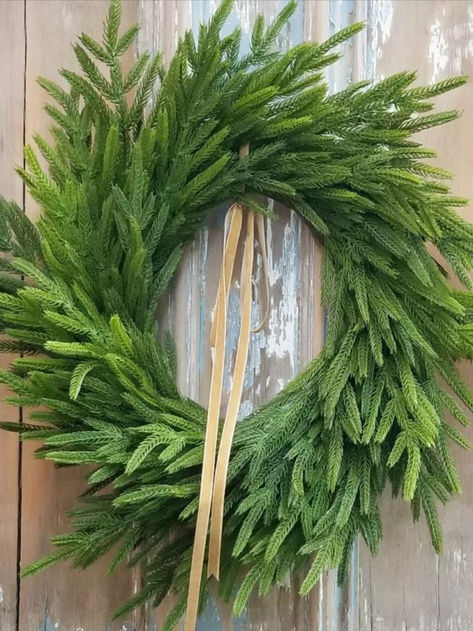 Gorgeous realistic rustic norfolk pine wreath...front door or cabinets? Wreath On Front Door, Norfolk Pine, Pine Wreath, Wreath Front Door, Farmhouse Christmas, Wreaths For Front Door, Norfolk, Christmas Decor, Front Door