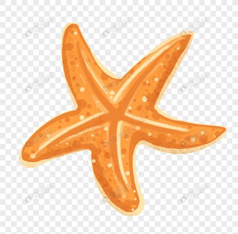 Cartoon Starfish, Stella Marina, Free Picture, Best Resolution, Hand Painting, Islamic Calligraphy, Clipart Images, Marine Life, Free Pictures