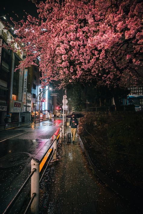 Leandro Lima, Japanese Cities, Rain Spring, Streets Of Tokyo, Tokyo Streets, Spring Scene, Tokyo Art, Lightroom Classic, Photography Series