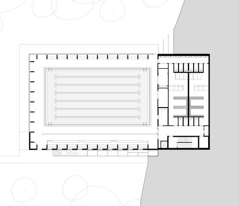 Gallery of Freemen’s School Swimming Pool / Hawkins\Brown - 12 School Swimming Pool, Pool Design Plans, Swimming Pool Plan, Sport Pool, Swimming Pool Architecture, Olympic Swimming, Diy Swimming Pool, Plans Architecture, Layout Architecture