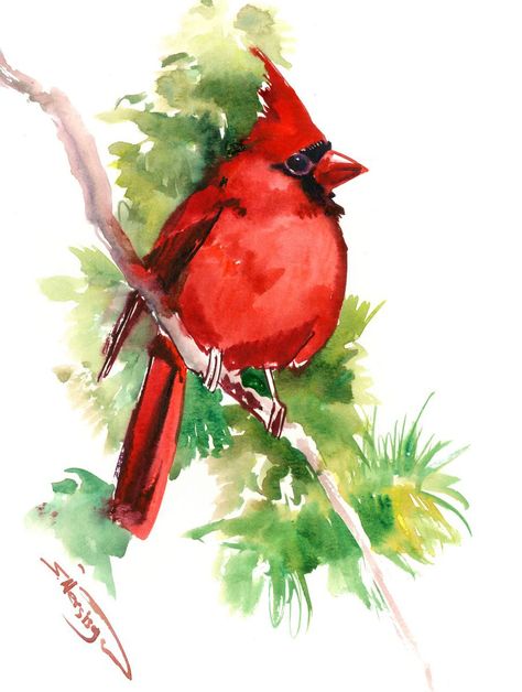 Cardinal Bird Painting, Cardinal Painting, Red Cardinal Bird, Bird Watercolor Paintings, Art Christmas Gifts, Cardinal Bird, Original Watercolor Art, Bird Painting, Cardinal Birds