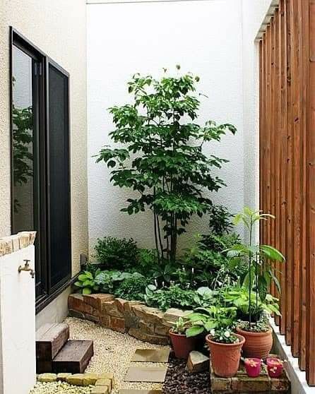 Pocket Garden Small Spaces, Jardin Zen Interior, Basement Flat, Small Japanese Garden, Pocket Garden, Apartment Balcony Garden, Inside Garden, Zen Garden Design, Courtyard Gardens Design