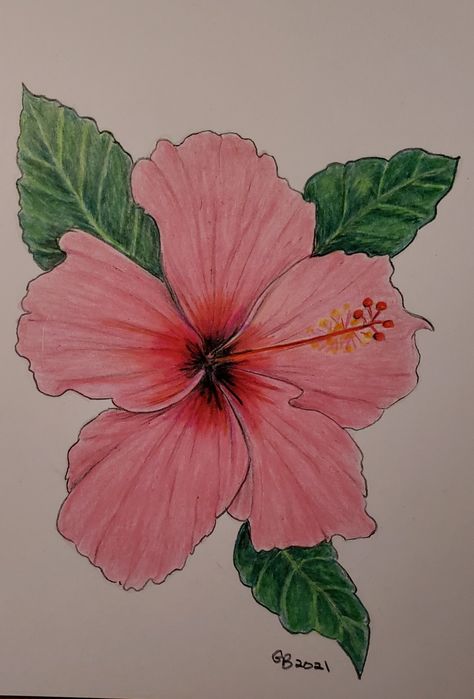 Flower Drawing Colourful, Colored Pencil Art Easy Ideas Flower, Colored Flower Drawing, Coloured Pencil Art Ideas, Flower Drawing Realistic Colored Pencils, Flower Drawings Color, Colored Pencil Flowers Simple, Flower Drawing With Color Pencil, Colored Pencil Artwork Ideas Beautiful