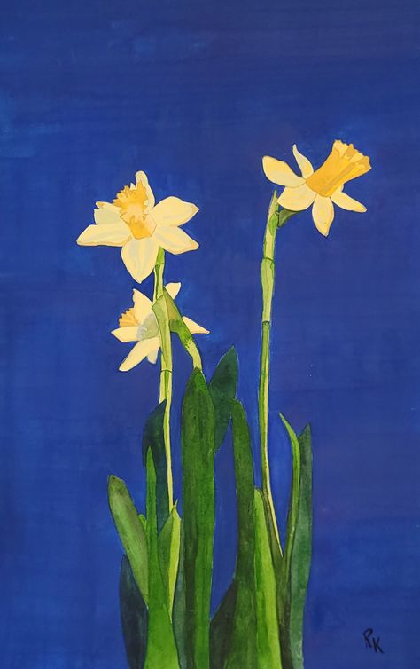 Bright yellos daffodils against a deep blue g=background. This is a bold and striking image. Art That Makes You Think, Daffodil Background, Yellow Art Aesthetic, Painting With Blue Background, Blue And Yellow Poster, Blue Art Wallpaper, Yellow And Blue Painting, Yellow Blue Painting, Blue Yellow Aesthetic