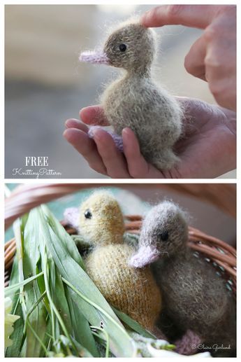 Amigurumi Lucky Duckling Free Knitting Pattern - Knitting Pattern Free Amigurumi Knitting Patterns, Easy Knit Animals, Nitting Stuff Animals, Free Arumigami Patterns, Duck Knitting Pattern, Knit Amigurumi Free Patterns, Knit Stuffed Animals Patterns Free, Crochet Baby Toys Free Pattern Easy, Knitted Toys Free Patterns Stuffed Animals