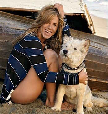 Jen + Norman.  :: Love the idea of ankle tattoo of his name in his honor :: Jennifer Aniston Wallpaper, Celebrity Dogs, Craig Mcdean, Jennifer Aniston Hot, Jennifer Aniston Style, Jenifer Aniston, Jen Aniston, Magazine Vogue, White Terrier