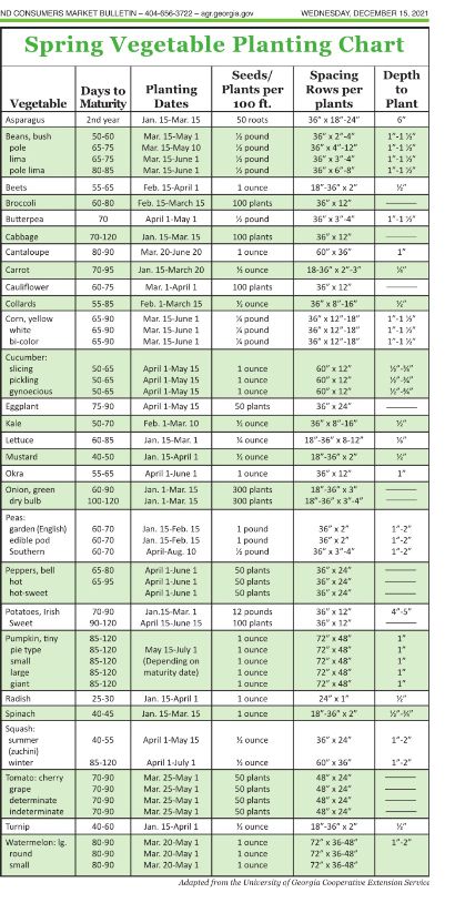 Planting Chart For Vegetables Zone 6, Season Vegetables Chart, Vegetable Season Chart, Seasonal Vegetable Chart, Planting Season Chart Vegetable Garden, Plants Guide, Plant Vegetables, When To Plant Vegetables, Vegetable Plants