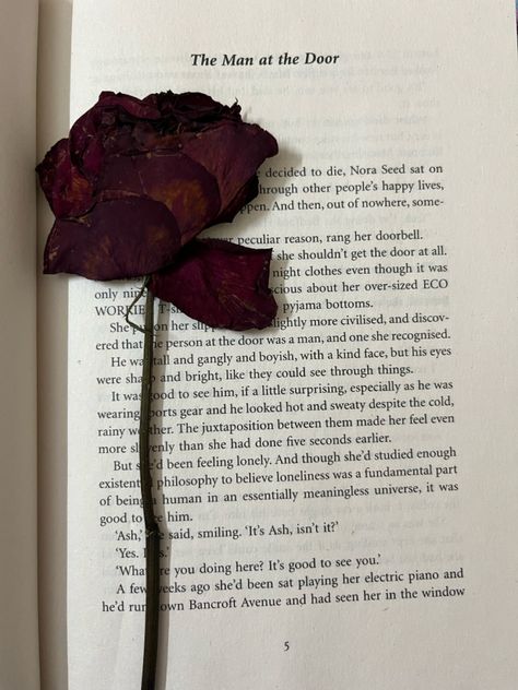 A beautiful rose can be used as a bookmark. Dried Flowers Aesthetic, Dead Roses, Everyday Bag Essentials, Tim Burton Characters, Desi Love, Romantic Images, Nothing But Flowers, Fancy Makeup, Lisa Blackpink Wallpaper