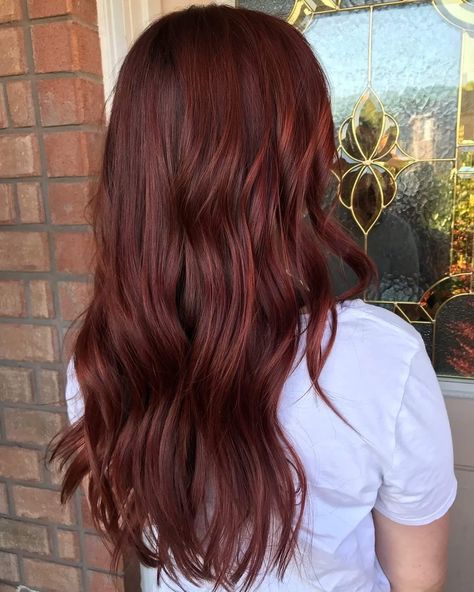 Hair Dye For Green Eyes, Chestnut Red Hair, Brownish Red Hair, Red Hair Looks, Wine Hair, Red Hair Inspo, Cherry Hair, Brown Hair Inspo, Dyed Red Hair