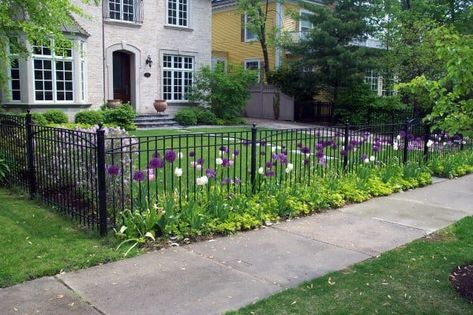 Wrought Iron Black Front Yard Fence Rod Iron Fences, Fence Plants, Black Fence, Yard Fence, Front Fence, Horizontal Fence, Front Yard Fence, Wrought Iron Fences, Fence Landscaping