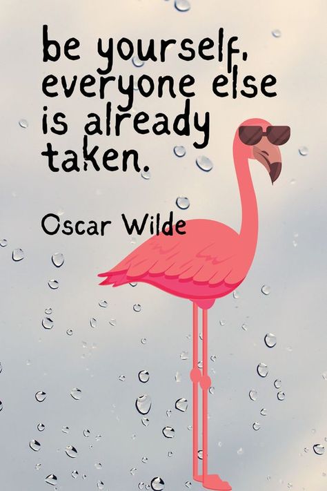 Flamingo Lovers Community 🦩💖 | flamingo philosophy | Facebook Funny Flamingo Sayings, Flamingo Sayings, Styling Tees, Flamingos Quote, Flamingo Tshirt, Pro Aging, Flamingo Pool Parties, Dog T Shirts, Hippie Quotes