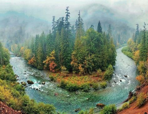 The next time you're exploring the Olympic Peninsula, check out this fantastic trail. Pacific Northwest Hikes, Olympic National Park Photography, Washington Coast, Washington Nature, Pacific Coast Road Trip, Washington State Travel, Washington Hikes, Washington Travel, Olympic Peninsula