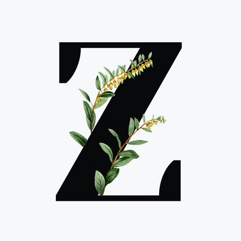 Botanical capital letter Z font design | free image by rawpixel.com / Aum Z Font Design, N Letter Design, Botanical Capital Letter, Capital Alphabet, Eid Mehndi, Alphabet Tattoo Designs, Floral Font, Alphabet Letters Design, Baby Poster