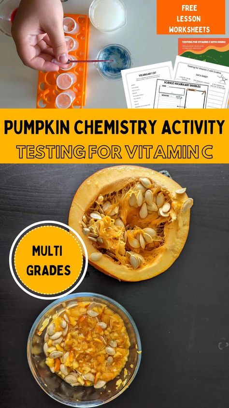 Biology Halloween Activities, Pumpkin Decomposition Experiment, Pumpkin Activities Elementary School, Pumpkin Science Middle School, October Stem Activities Middle School, Pumpkin Homeschool Activities, Pumpkin Unit Study, Pumpkin Experiments For Kids, Farm Stem Activities