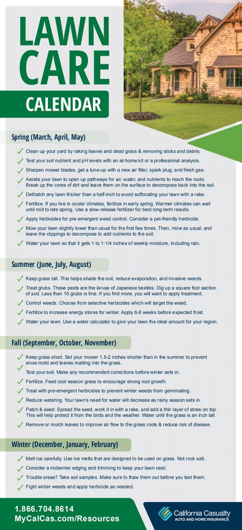 Keeping up with lawn care is a year-round job, but the results are definitely worth it. Follow our lawn care calendar for an easy way to create a healthy and beautiful lawn all year long Lawn Care Services, Lawn Tips And Tricks, Lawn Care Advertising Ideas, Yard Care For Beginners, Lawn Business Ideas, Spring Lawn Care For Beginners, Lawn Design Ideas, Lawn Maintenance Schedule, Fall Lawn Care