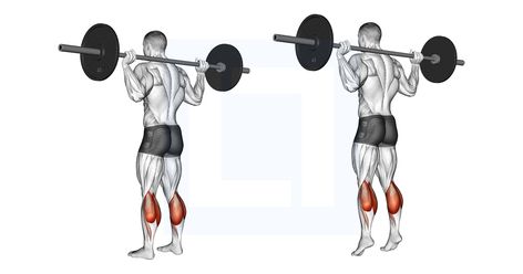 Barbell Workouts, Soleus Muscle, Standing Calf Raise, Calf Exercises, Leg Press Machine, Ankle Mobility, Six Pack Abs Workout, Barbell Workout, Increase Muscle Mass