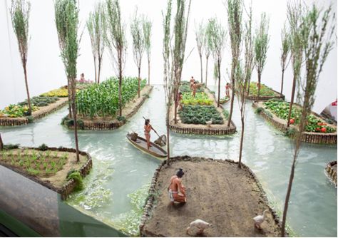 Floating Gardens, Floating Garden, Interesting History, Permaculture, Hydroponics, Green Thumb, Classroom Ideas, Gardening Tips, Agriculture