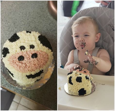 Farm 1st Birthday Cake Smash, Farm Animal First Birthday Party Smash Cakes, First Birthday Farm Smash Cake, Farm Animal Smash Cake First Birthdays, Smash Cake Cow Print, Holey Cow Im One Birthday, Cowboy Themed 1st Birthday Cake, My First Rodeo Birthday Cake Smash, Farm Animal First Birthday Cake