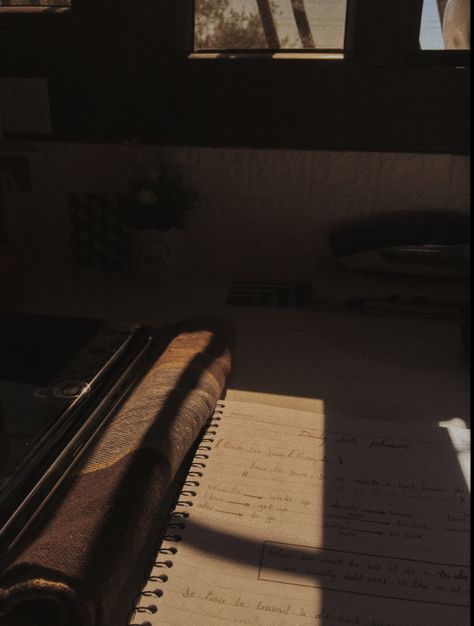 #notebook #study #aesthetic #organize #neat Notebook Study, Insta Board, Jd Salinger, Aesthetic Notebook, Wild Eyes, Study Aesthetic, Lined Notebook, Edgar Allan, Edgar Allan Poe