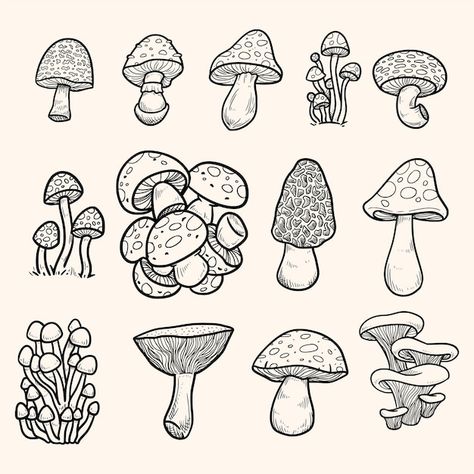 Mushroom Doodle, Fungi Illustration, Draw A Face, Plant Doodle, Small Doodle, Mushroom Tattoos, Mushroom Drawing, Drawing Step By Step, Drawing Step