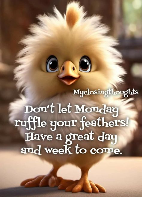 Its Monday Good Morning, Monday Morning Quotes Funny, Good Night Monday, Monday Morning Greetings, Happy Monday Images, Good Morning Animals, Happy Monday Quotes, Monday Morning Quotes, Happy Day Quotes