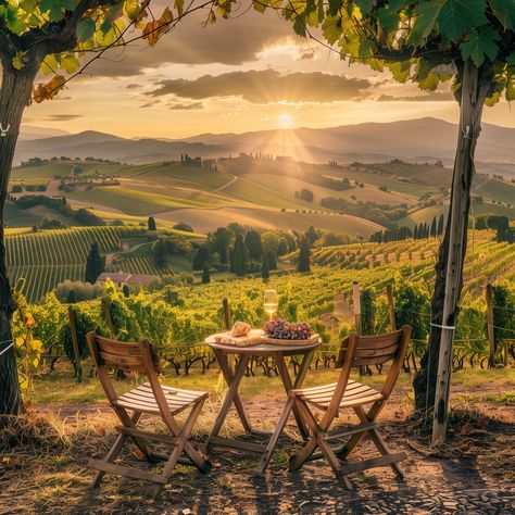 Tuscany Italy Landscape, Villa In Tuscany, Vineyards Aesthetic, Tuscany Italy Aesthetic, Italy Scenery, Wine Yard, Tuscany Garden, Tuscany Aesthetic, Italian Winery